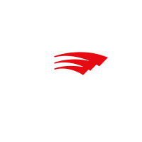 Roller Team logo